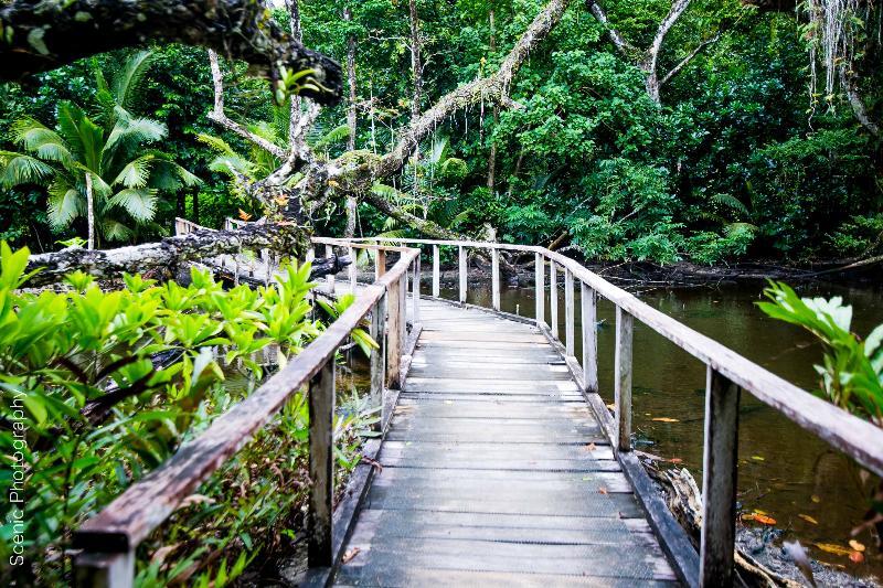 Qamea Resort & Spa Dreketi エクステリア 写真